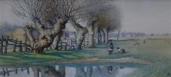 Mary Charlotte Green (c.1860-1951), watercolour, Pollarded Elms, Harston, Cambridgeshire, monogrammed, 16 x 34cm